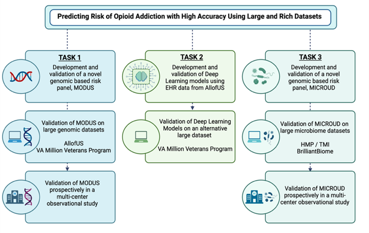 Risk of Opioid Addiction